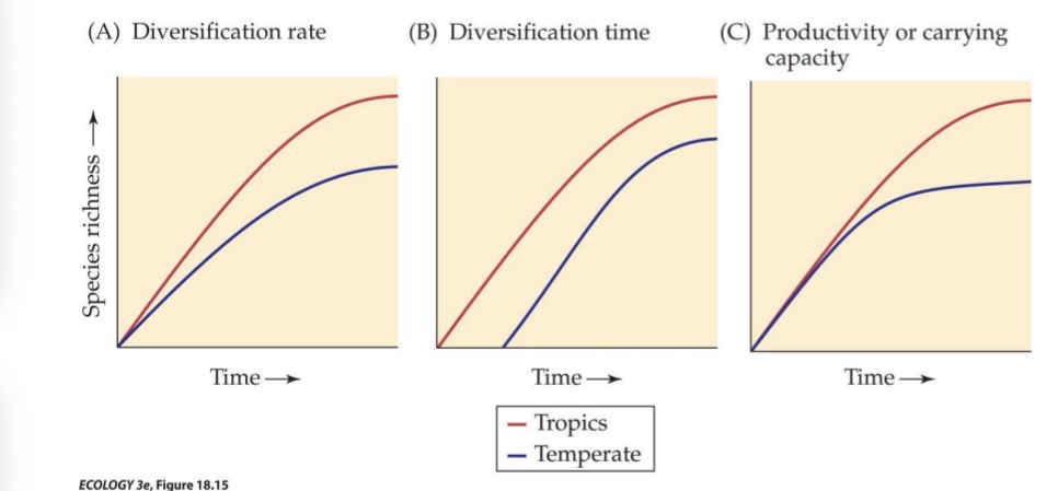<p><span><span>Hypothesis 1: Species diversity is largest in the tropics because the tropics have a higher species diversification rate than higher-latitude areas: large, thermally stable areas result in larger population sizes and larger population ranges, which decreases each species’ extinction risk and increases the rates of speciation</span></span></p>