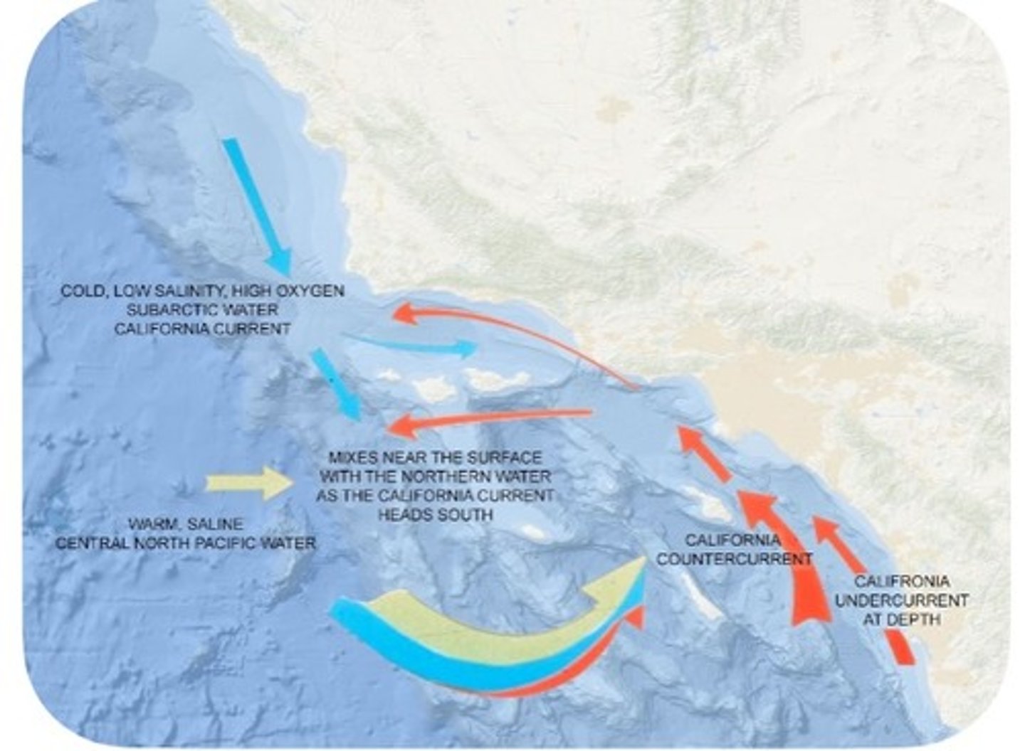 <p>California current: carries cold nutrient-rich water down the coast</p><p>California counter-current: carries warm water up the coast from Baja</p><p>point of conception: mixing of the two currents</p>