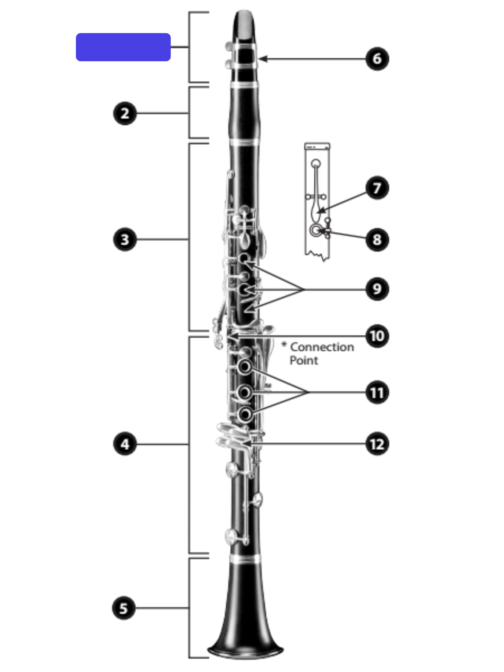 knowt flashcard image