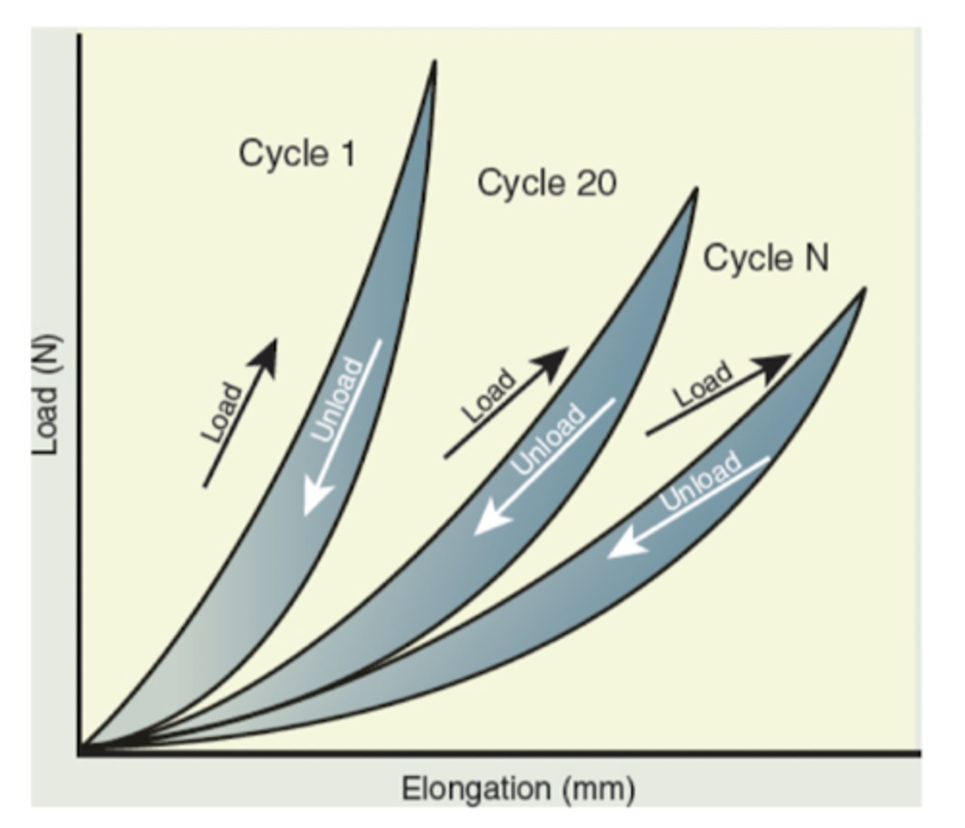 <p>Despite low loads, cumulative damage from repeated elongation and shortening</p>