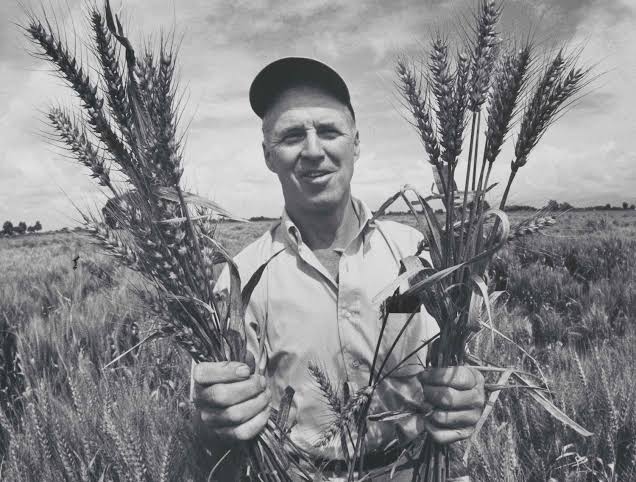 <p>An American <span>agronomist(crop scientist) and humanitarian</span> known as the "father of the Green Revolution" who developed high-yielding crop varieties and advanced agricultural practices to combat hunger worldwide. </p>