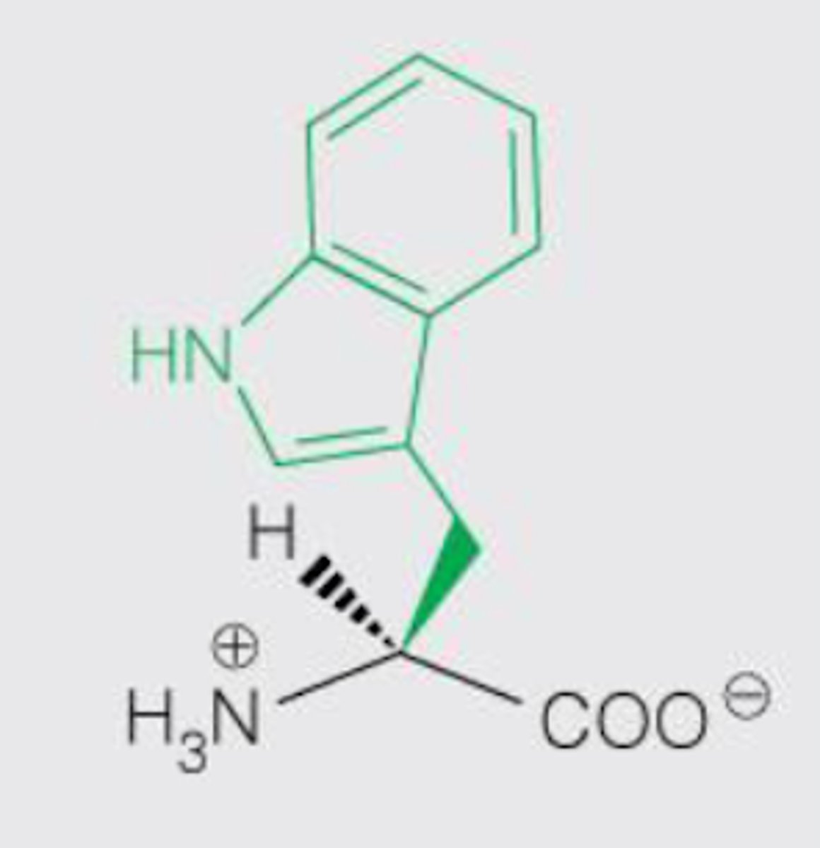 <p>Polar aromatic</p>