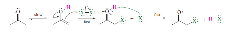 <p>X2 and an acid (ie acetic acid)</p>