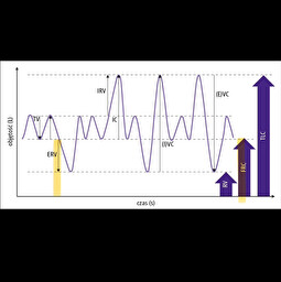 <p>Co to za pojemność płuc ssaka?</p>
