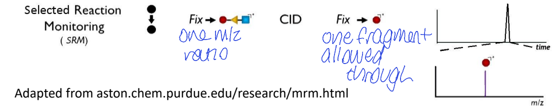 <p>Q1 - one m/z ratio allowed through </p><p>collision induced dissociation for q2</p><p>only one fragment allowed through Q3</p><ul><li><p>chromatogram = peaks due to specific compounds with specific precursor/product ion combo </p></li><li><p>precursor/product ion pair being monitored</p></li></ul><p></p>