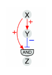 <p>This image shows a _____ feed-forward loop.</p>