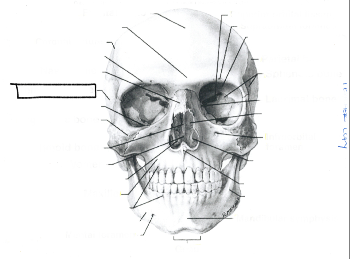 <p>What is this?</p>