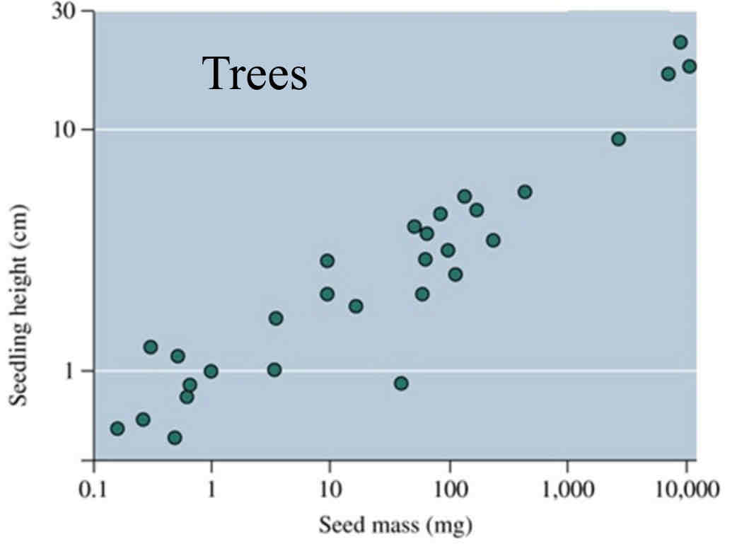<p>PoA: Given limited access to energy, if an organism allocates resources to one function (e.g., growth, maintenance), it reduces the amount of energy available to other functions (e.g., reproduction)</p><p>AN ORGANISM CANNOT DO BOTH, ONLY ONE</p><p>Many Offspring ←Trade off→ Large Offspring</p><p>- Species producing larger seeds produced fewer seeds. Mode of seed dispersal depends on size. Seed dispersal establishes RANGE.</p><p>> Seed size dictates how far a seed is able to travel based on the MASS of the seed.</p><p>Allocating more energy per offspring (larger seed) = a parent organism will produce fewer offspring.</p>