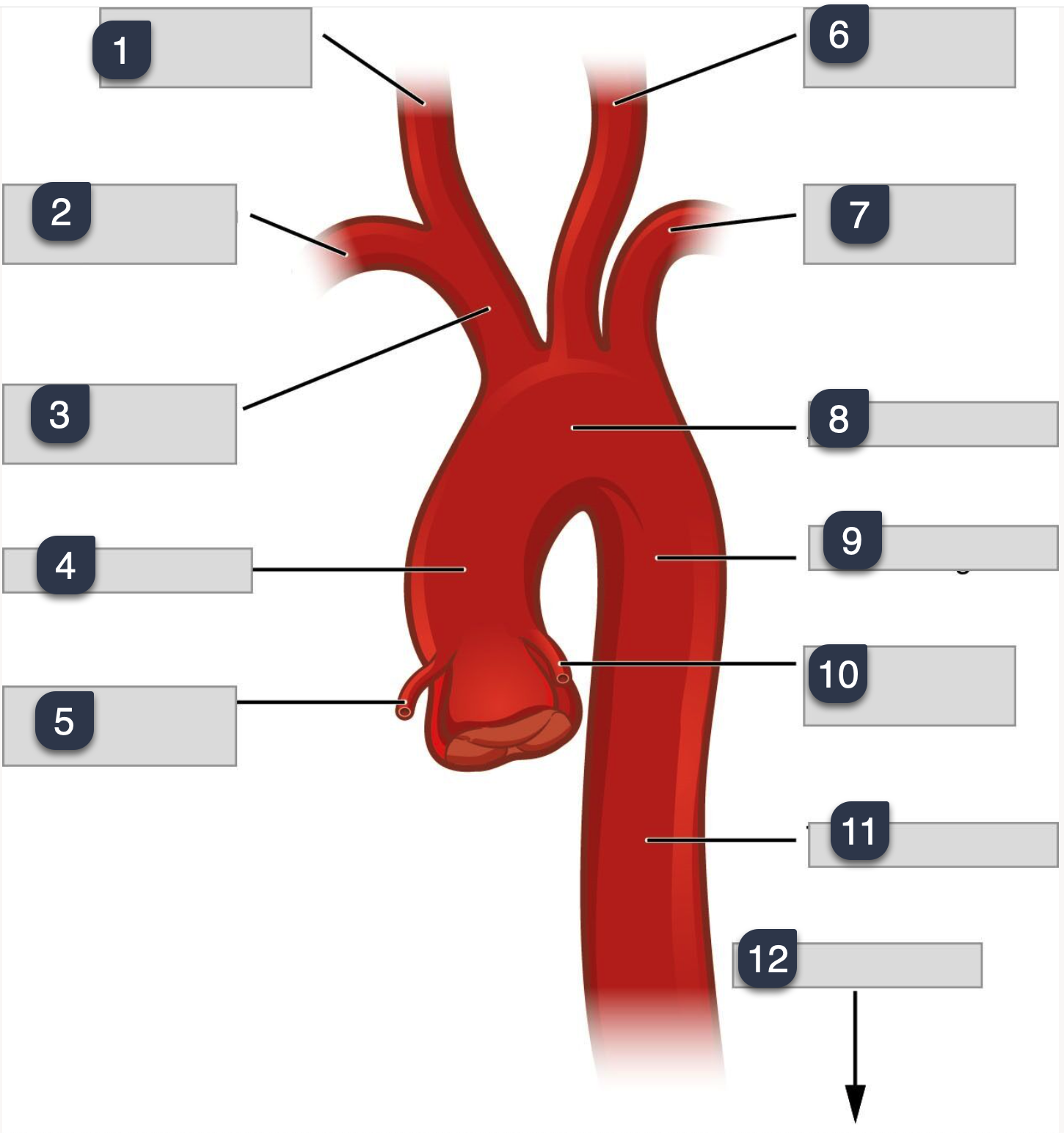 <p>What is 4-8</p>