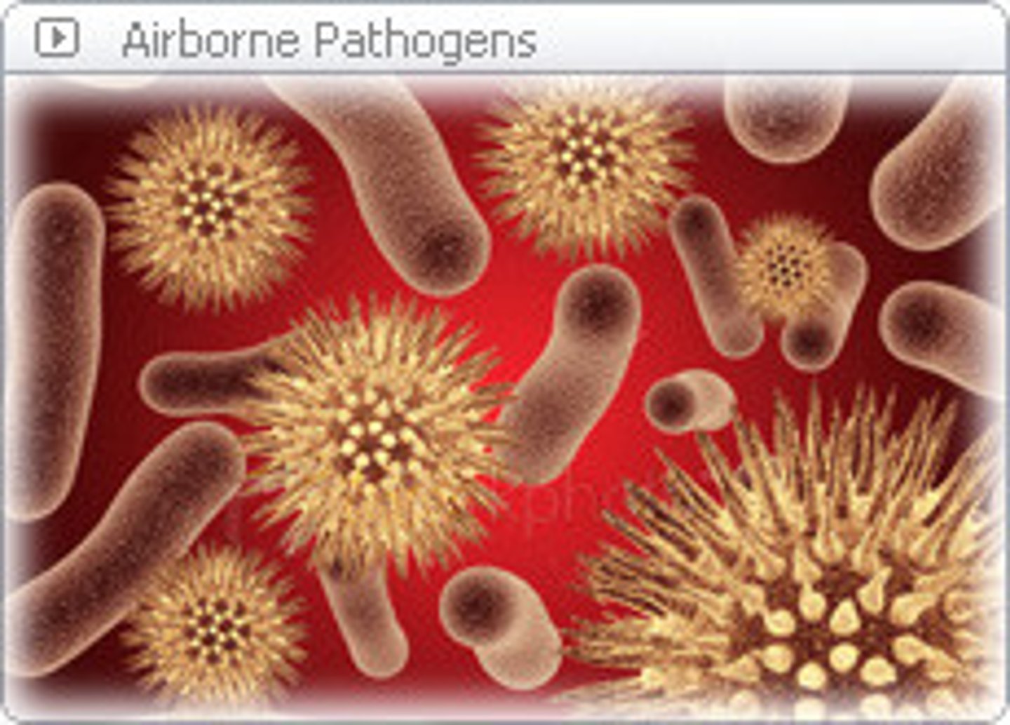<p>Any microbe that causes disease</p>