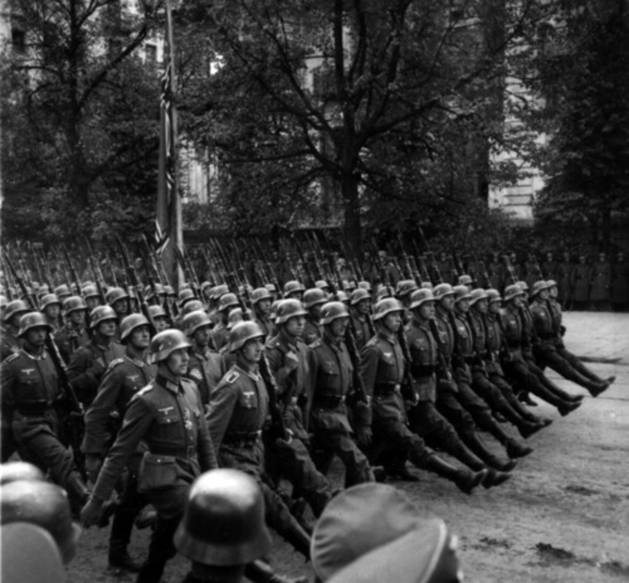 <p>= crowd, flock, group</p>