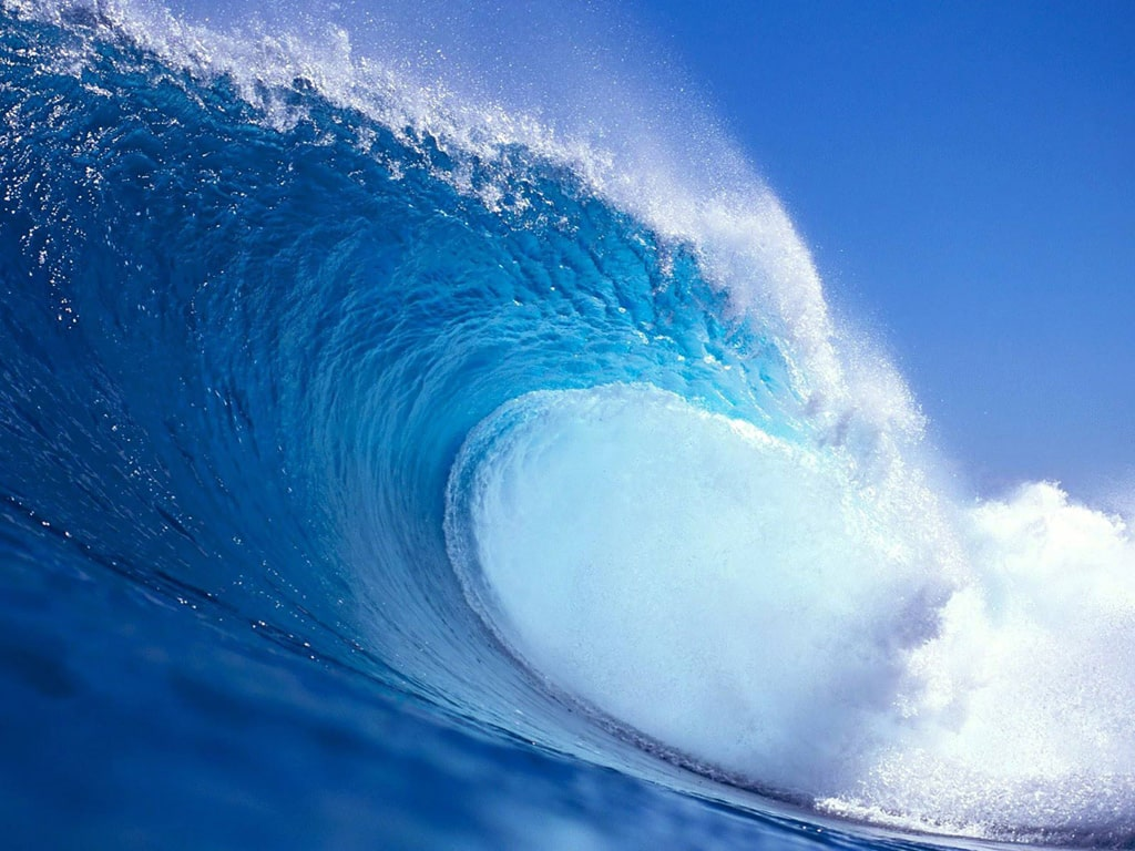 <p>Define the Hydrosphere</p>