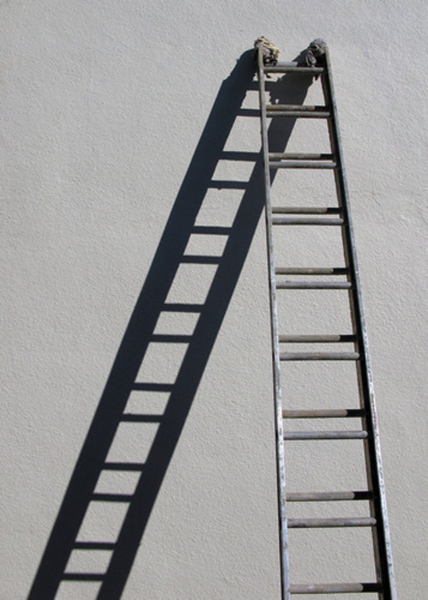 <p>n. cái thang</p>