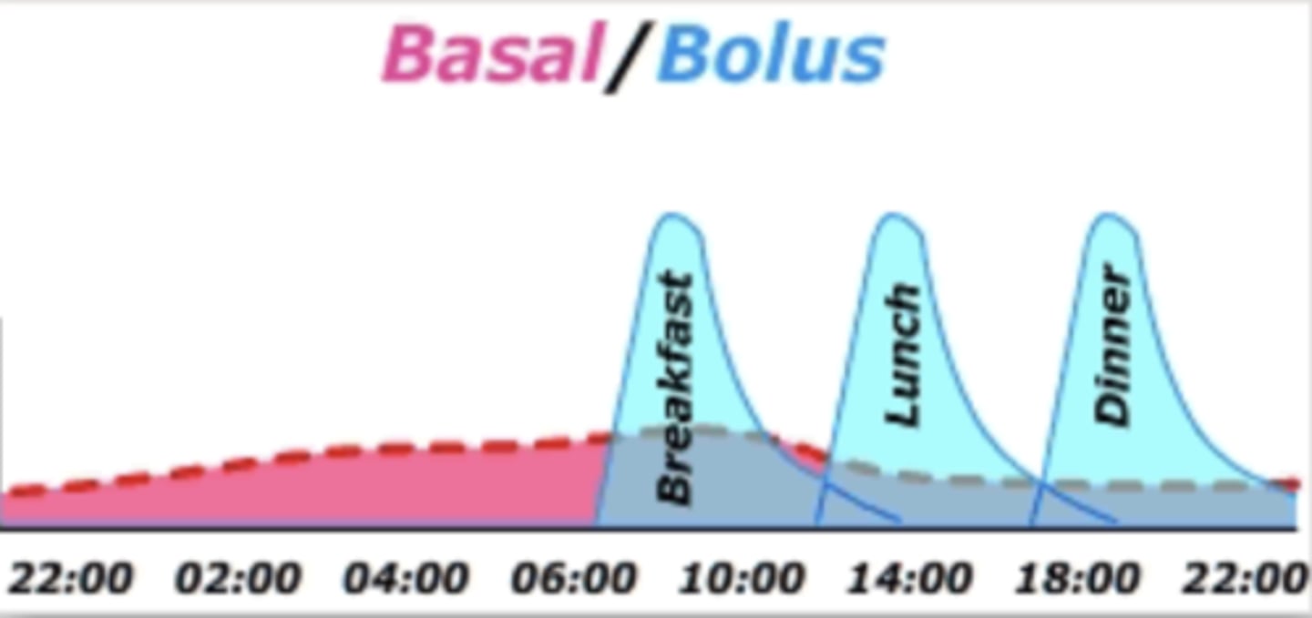 <p>- long acting insulin, usually administered in a.m.</p><p>- similar amount each day, as long as the pre-dinner sugar is 'normal'</p><p>- preferably given in a.m. to avoid night hypoglycemia</p><p>- tweak amount based on blood sugar at 12 hr mark (bedtime BG reading)</p>