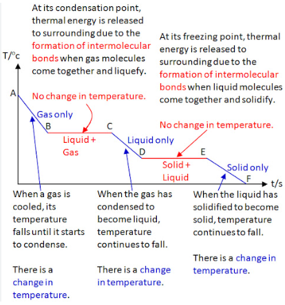 <p>Red Line A and Red Line B represent:</p>