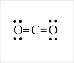 <p>16 electrons</p>