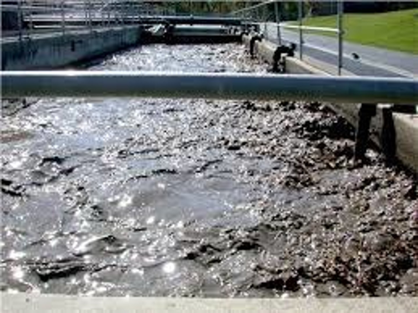 <p>the inorganic, solid waste that remain after the secondary treatment of sewage. Collected and exposed to more bacteria to kill pathogens, dried, and then taken to landfills, dumped in the ocean, or used as fertilizer</p>