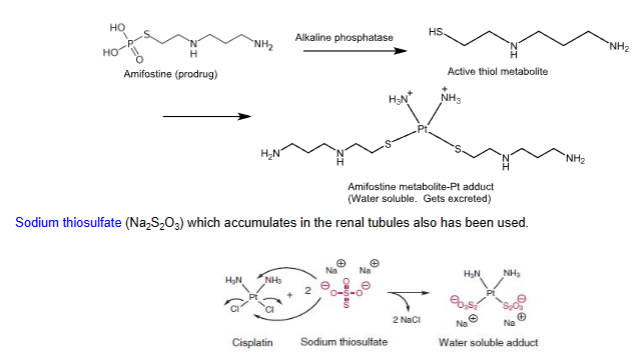 <p>- <strong>Used to</strong> <span style="color: red"><strong>mitigate the side effects of platinating therapy</strong></span></p><p>-<strong> </strong><span style="color: red"><strong>Highly water soluble complexes</strong></span><strong> that get excreted from the kidney</strong></p><p>- <strong>One example is</strong> <span style="color: red"><strong>amifostine</strong></span></p>