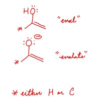 <p>Enol - OH bond Enolate - O(-)</p>