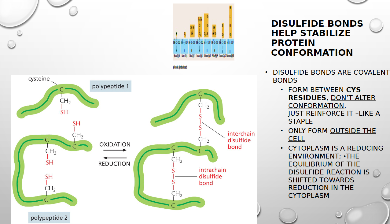 <p><span>the cellular environment inside the cytoplasm is reducing, which prevents protein formation. Outside, the environment is oxidizing so  that favors the creation of the disulfide bonds</span></p>