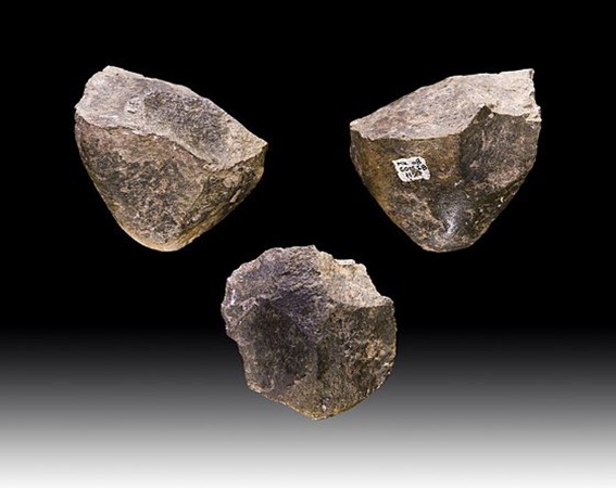 <ul><li><p>Proliferation in the number and diversity of tools</p></li><li><p><strong>Acheulean</strong> toolmaking tradition associated with H. erectus</p><ul><li><p><strong>Oldowan Pebble Tools</strong>:</p><p>Australopithecus or H. habilis</p><p>(picture provided)</p></li><li><p><strong>Acheulean</strong> toolmaking tradition</p><p>H. erectus</p><p>more sophisticated </p><p>aided hunting and gathering</p></li></ul></li></ul><p></p>