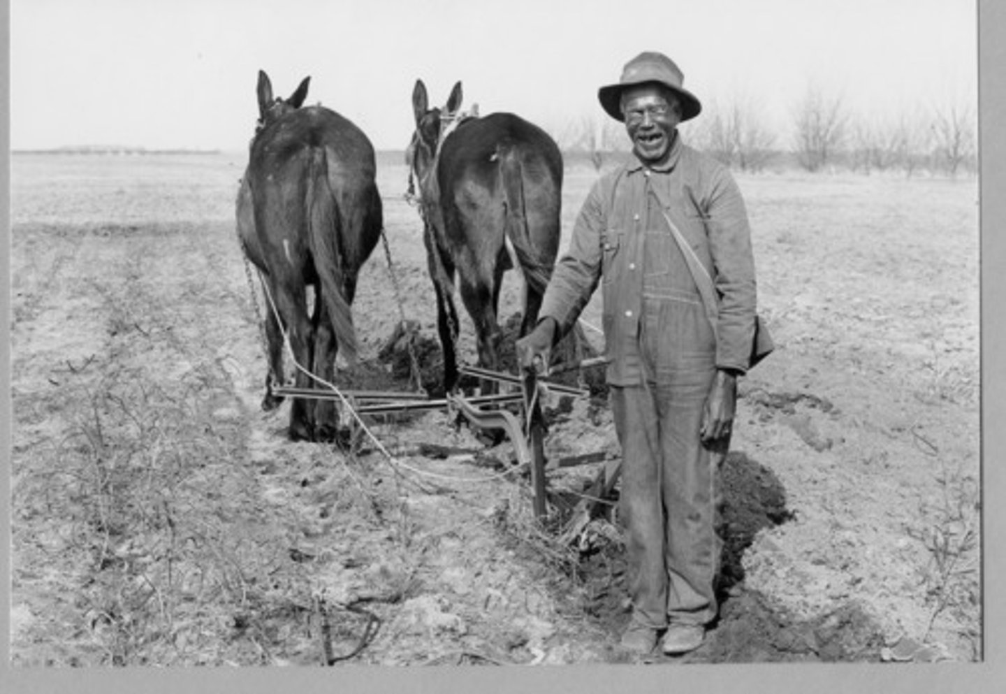 <p>system in which a farmer (freedmen) tended a portion of a planter's land in return for a share of the crop.</p>