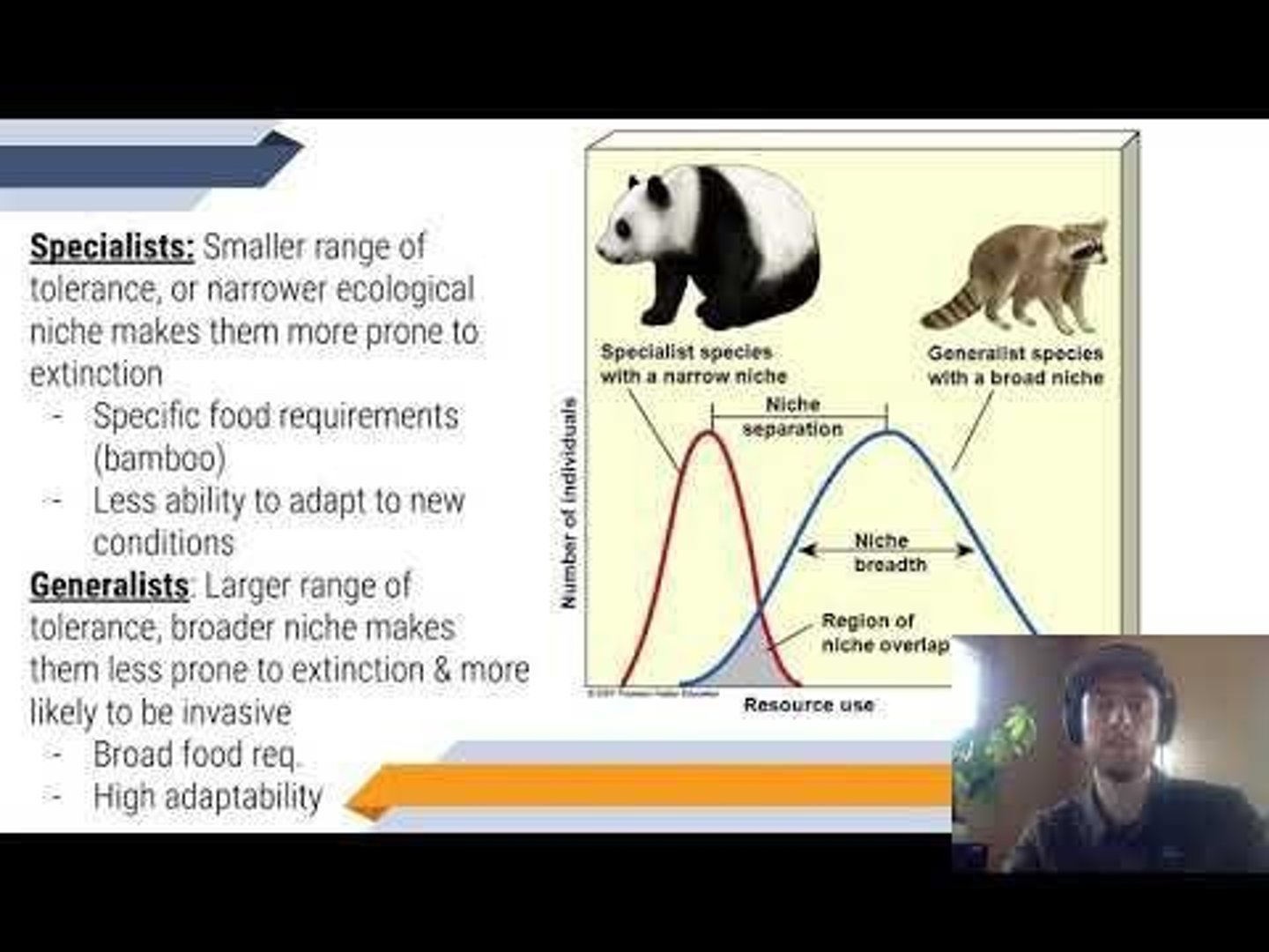 <p>Species with a smaller range of tolerance or narrower ecological niche, making them more prone to extinction.</p>