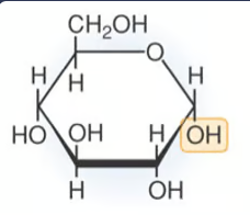 <p>What is this molecule?</p>