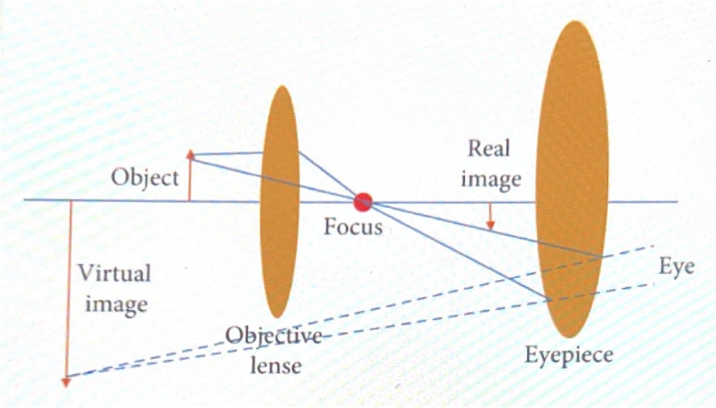 <ul><li><p>instrument to observe microobjects</p></li><li><p>opticsal microscope uses visible light and lenses to magnify small images = 2d, high M low R</p></li><li><p>optic scheme,, eyepiece, objective</p></li><li><p>components of M</p></li><li><p>magnification'</p></li><li><p>mag eq</p></li><li><p>resolution</p></li><li><p>observation modes</p><ul><li><p>bright field microscopy, sample illuminated from below, observed from above </p></li><li><p>dark field microscopy, live microO, not visible or stained </p></li><li><p>phase contrast microcopy converts phase differences into brightness differences </p></li></ul></li></ul><p></p>