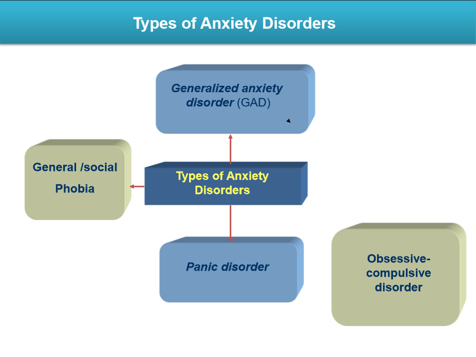 <ul><li><p>Generalized Anxiety Disorder (GAD)</p></li><li><p>Panic Disorder</p></li><li><p>Phobias (specific &amp; social)</p></li><li><p>Obsessive-Compulsive Disorder (OCD – historically classified as anxiety)</p></li></ul><p></p>