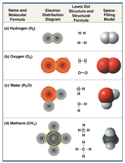 <p>Single bond</p>