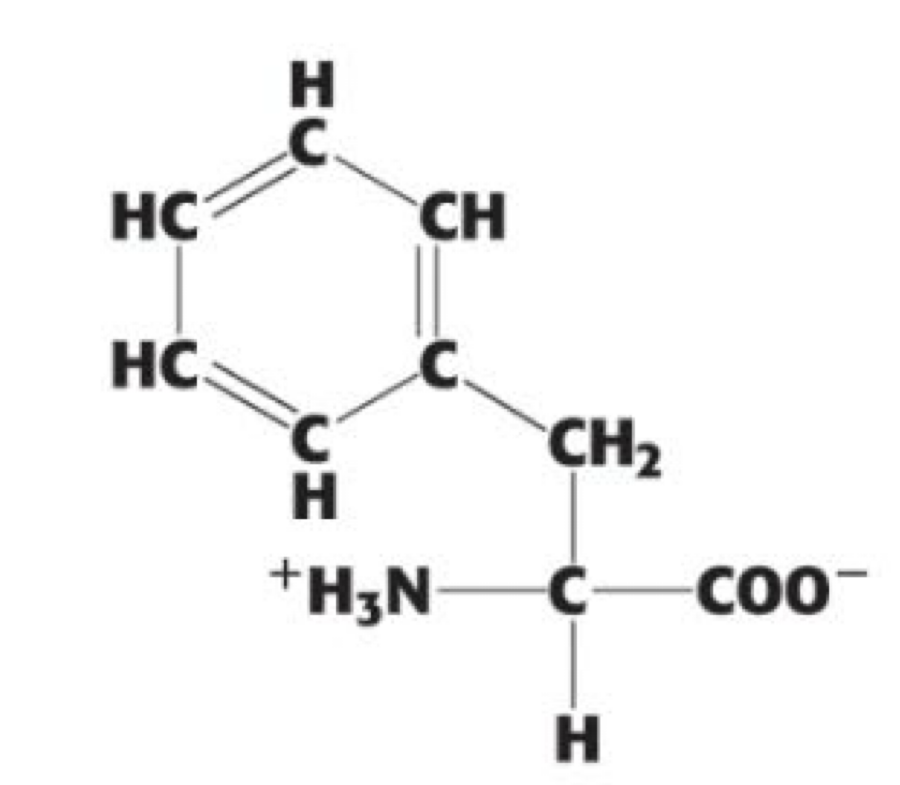 <p>(Phe, F). aromatic</p>