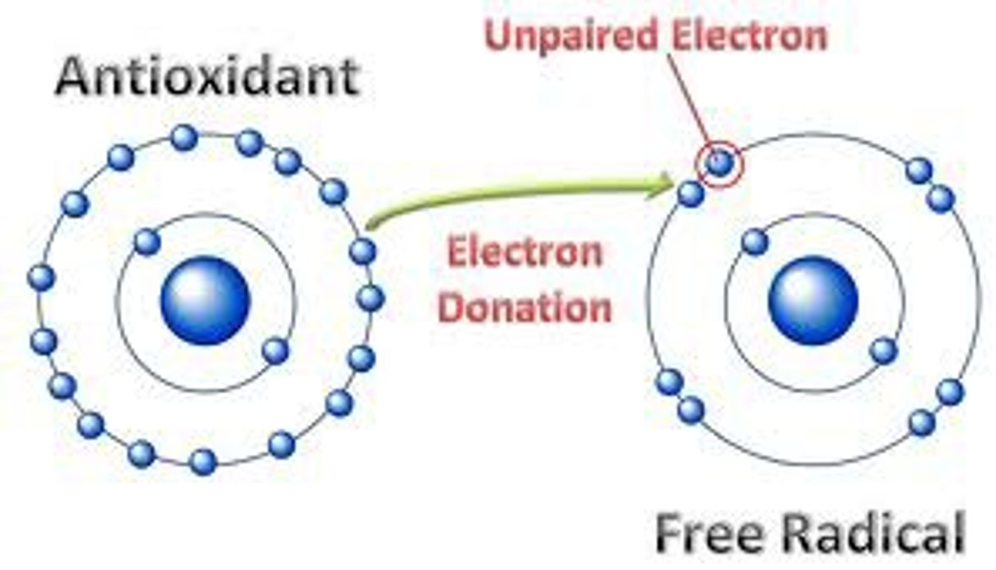 <p>An antioxidant molecule helps protect DNA aganist the damaging effect of reactive oxygen species.</p>