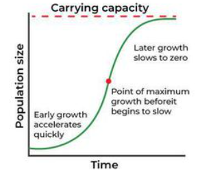 <p>“<u>S-shaped</u>” curve; growth slows as resources limit population near <u>carrying capacity</u>.It describes how populations grow more slowly as they approach the environment's carrying capacity, reflecting the influence of <u>resource availability and competition.</u></p>