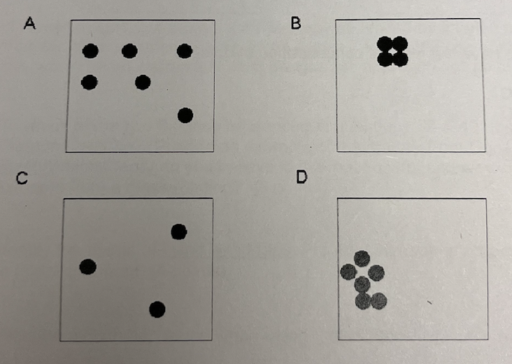 <p>Which two of the four boxes has the highest density of dots?</p><ol><li><p>A, B</p></li><li><p>B, C</p></li><li><p>C , D</p></li><li><p>A, D</p></li></ol>