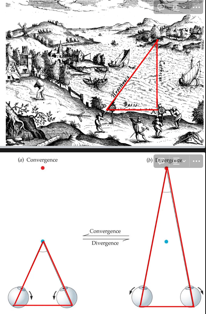 <ul><li><p>is the process by which the brain determines the&nbsp;<strong>distance to an object</strong>&nbsp;by comparing the&nbsp;<strong>angles from each eye</strong>&nbsp;to that object.</p></li><li><p>It relies on&nbsp;<strong>binocular vision</strong>&nbsp;and the separation between the eyes (called the&nbsp;<strong>interocular distance</strong>).</p></li><li><p>The brain uses the&nbsp;<strong>angle of convergence</strong>&nbsp;and the&nbsp;<strong>difference in image position</strong>&nbsp;(binocular disparity) to&nbsp;<strong>calculate depth</strong>.</p></li></ul><p></p>