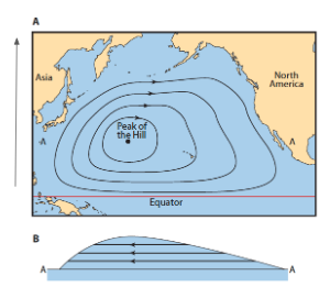 <p>Is there a difference in the volume of water transported on the western and eastern boundary currents?</p>