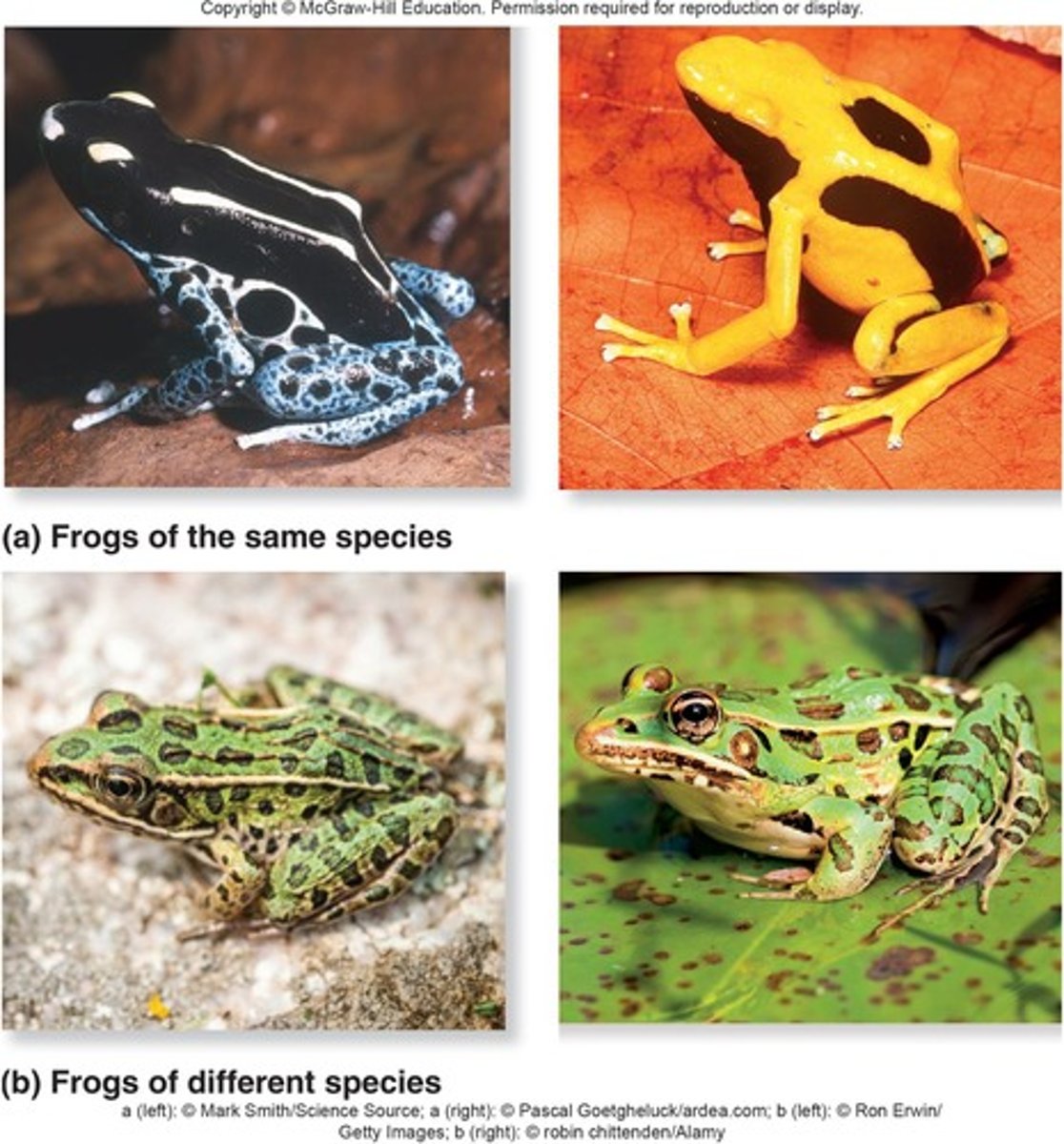 <p>A group of related organisms that share a distinctive set of attributes in nature.</p>