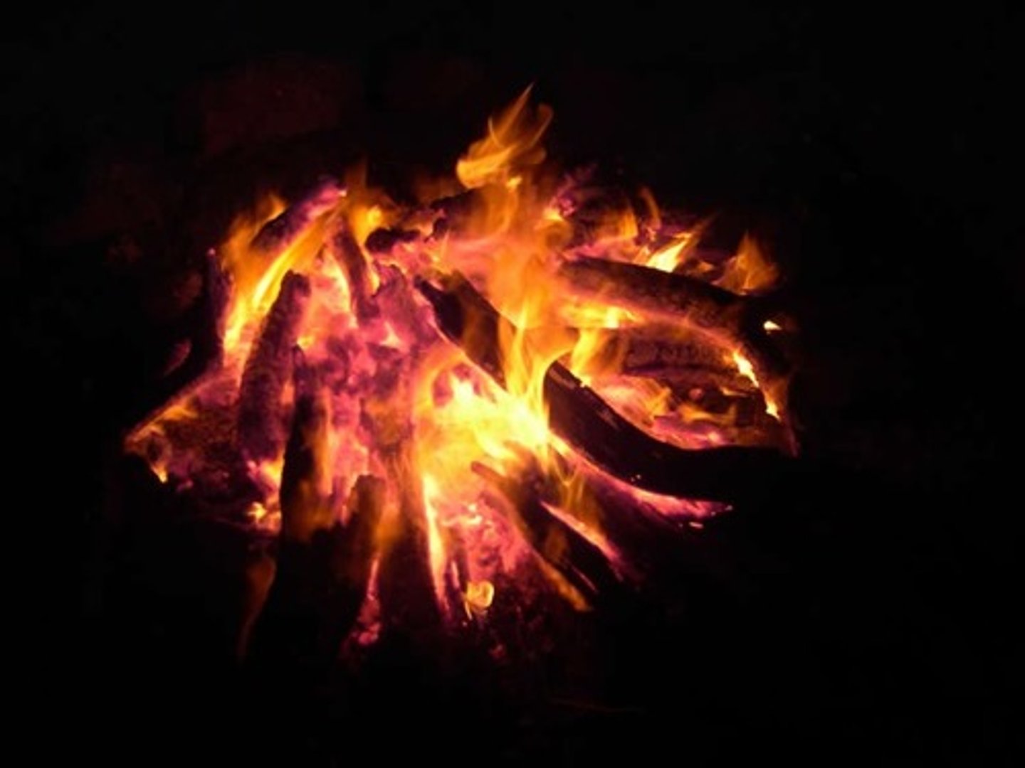 <p>bonfire</p>