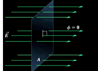 <p>Cross Section Electric Flux</p>