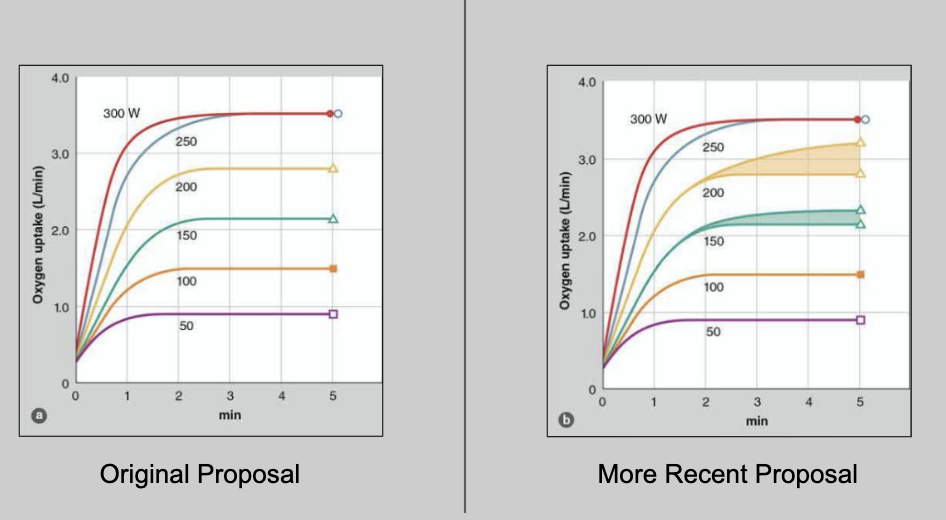 At higher work rates, the oxygen consumption (VO2) continues to increase