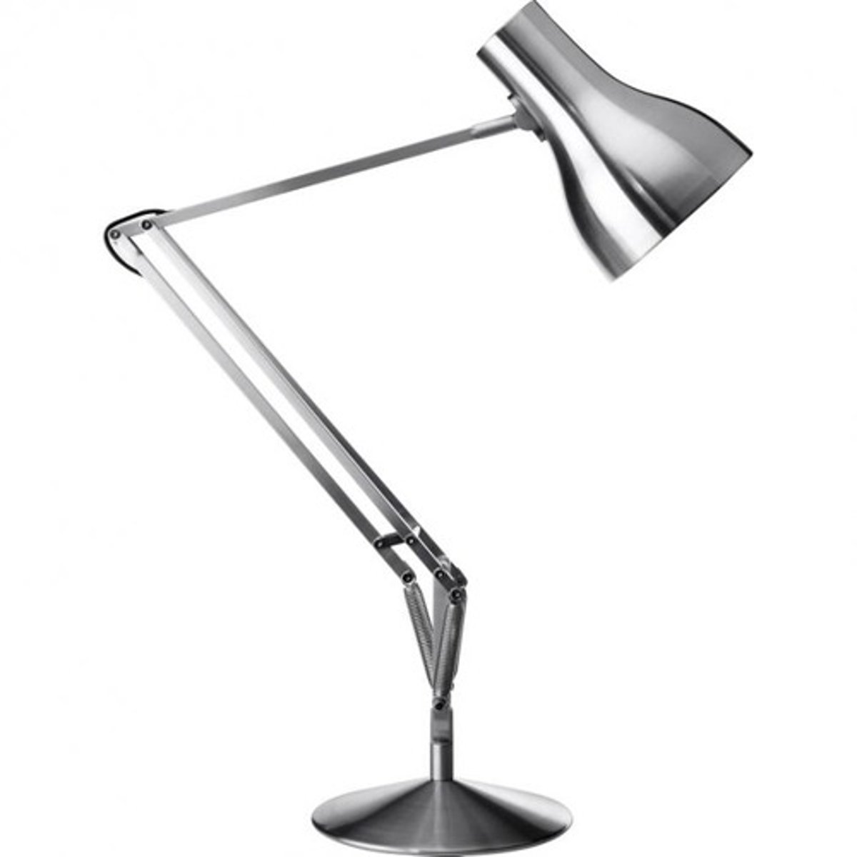 <p>the desk lamp</p>
