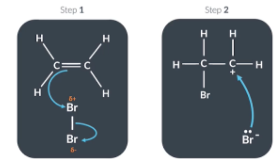 <p><span>The electrophilic addition reaction between ethene and bromine is possible because</span></p><p><br></p>