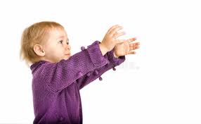 <p>quería</p><p>Él quería mi carro.</p>