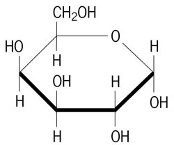 <p>Which monosaccharide is this?</p>