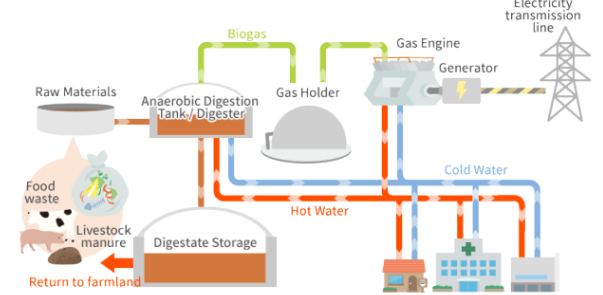 <p>Organic matter used to produce fuel for heat or electricity, derived from plant and animal waste.</p>