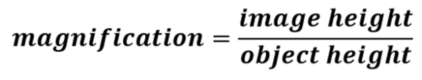 <p>magnification = image height / object height</p>