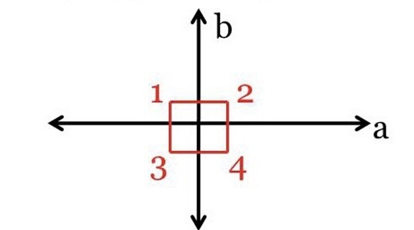 <p>congruent adjacent angles</p>