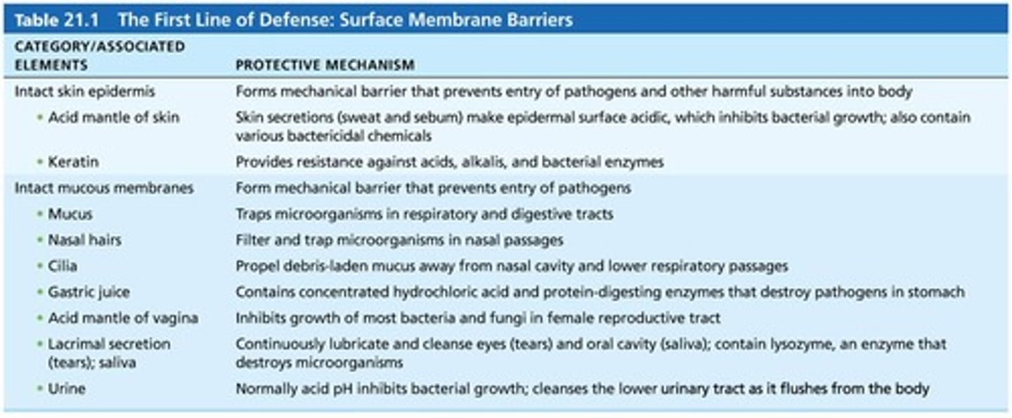 <p>innate barriers to antigen like intact skin, mucous membranes and their secretions, normal microbiota</p>