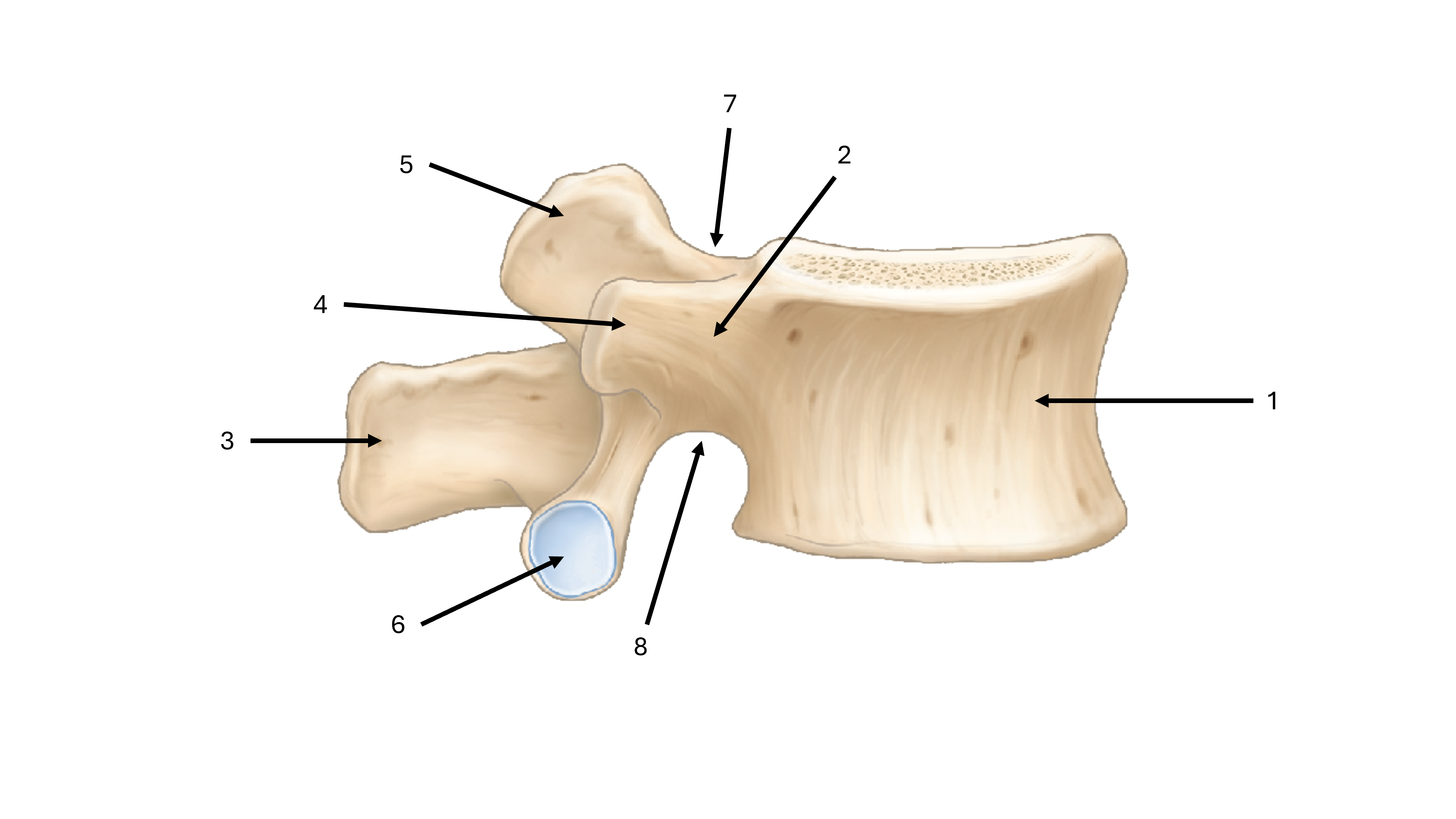 <p>what is label #7</p>